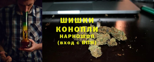 MESCALINE Каменка