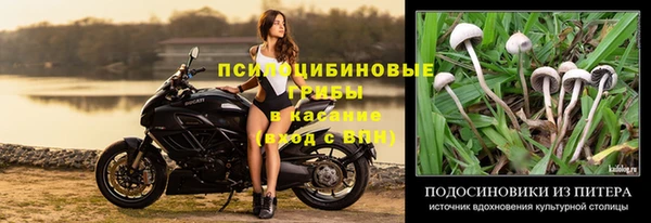мяу мяу мука Каменск-Шахтинский