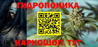 индика Волжск
