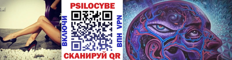 хочу наркоту  Карпинск  Галлюциногенные грибы Psilocybe 
